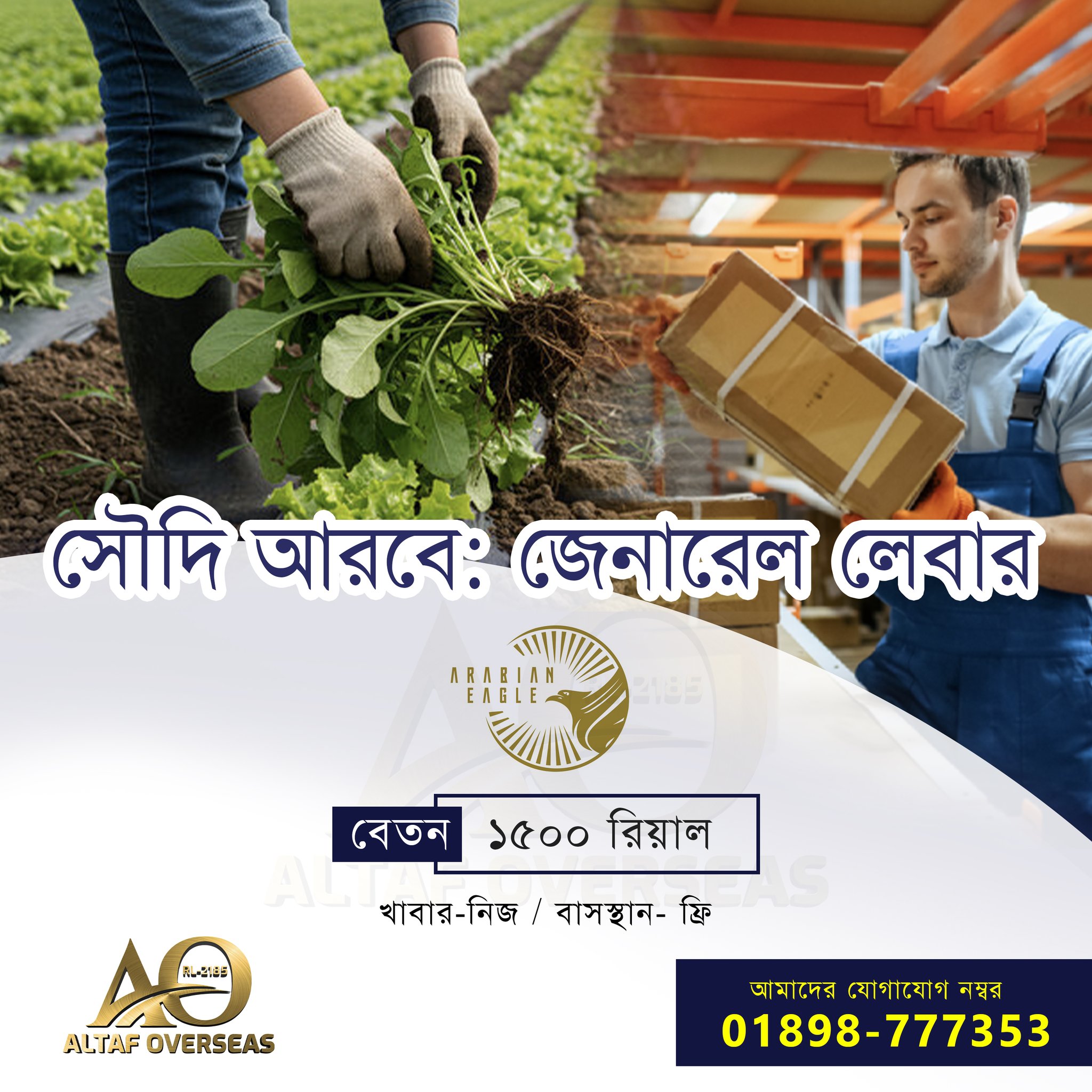 537098942_122144674076693415_2245088550484577767_n